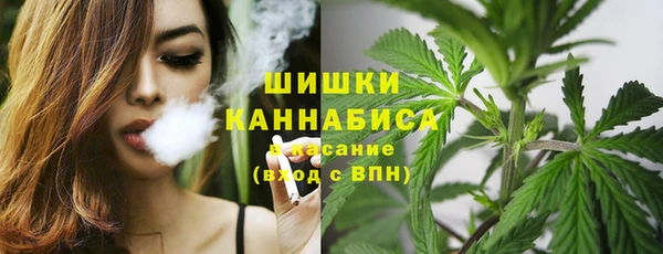 mdma Бородино