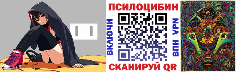 Псилоцибиновые грибы мицелий  купить  цена  Черняховск 